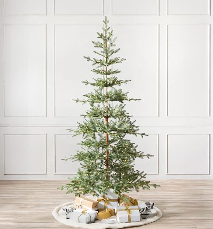 Alpine Balsam Fir Trees